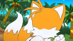 Draw a Face on Tails Meme Template