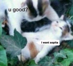 U good Meme Template