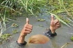 Trump drowns in his own swamp - no drain Meme Template
