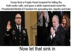 Purple Heart Veteran Fired Telling Truth Racist Receives Medal Meme Template