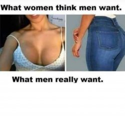 What women think men want Meme Template