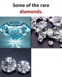 Some of the rare diamonds Meme Template