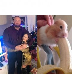 Hamster eating banana Meme Template