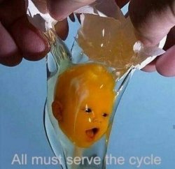 egg baby Meme Template