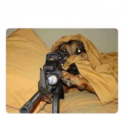 Sniper Meme Template