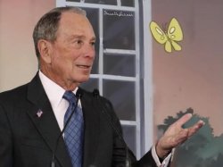 Bloomberg Butterfly Meme Template