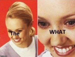 the what Meme Template