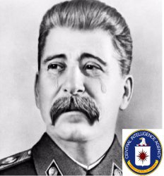 Stalin's Tears Meme Template