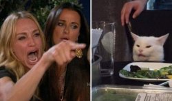 Woman Yelling At Cat Cat Splash Wet Pussy Meme Template
