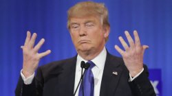 10 Finger Trump Meme Template