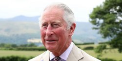 Prince Charles Meme Template