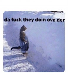 da fuck they doing ova der Meme Template
