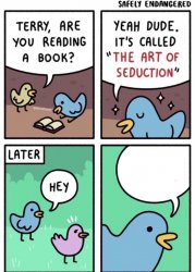 bird seduce meme Meme Template
