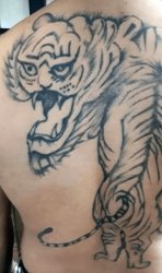 tattoo tiger Meme Template