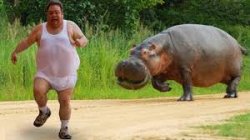 man being chased by hippo Meme Template