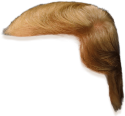 Trump hair Meme Template