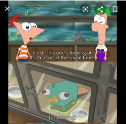 Look ferb this one's looking at both of us at the Same time Meme Template