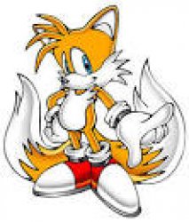 Tails Meme Template