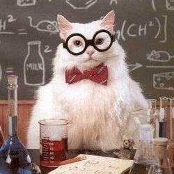 Scientific cat Meme Template