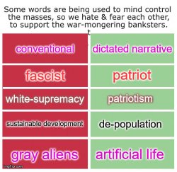 mindcontrol words, misconceptions Meme Template