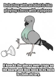 Pigeon chess Meme Template