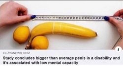 Bigger Than Average Penis Associated With Low Mental Capacity Meme Template