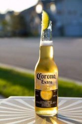 Corona virus Meme Template