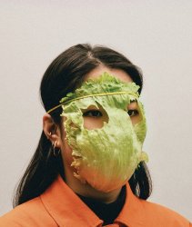 Lettuce mask Meme Template
