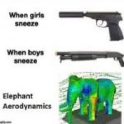 AHHCHOOOOO!!! Meme Template