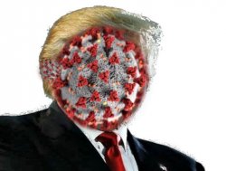 Covfefevirus Meme Template