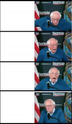 Inverted Bernie Sanders Meme Template
