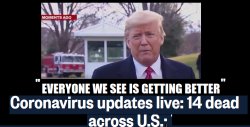 Trumpvirus Lies Meme Template