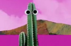 cactus with eyes Meme Template