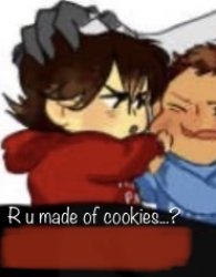 R u made of cookies Meme Template