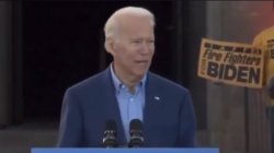 Joe Biden Endorses Trump Re-Election Meme Template