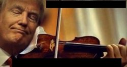 Nero Trump fiddles while America burns Meme Template