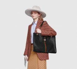 In the bag Meme Template