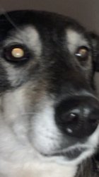 When You Realise Meme Template