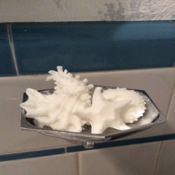 soap Meme Template
