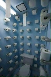 Toilet paper room Meme Template