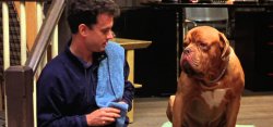 Turner and Hooch Meme Template