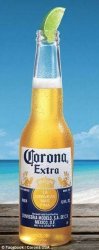 Corona with Lime Meme Template