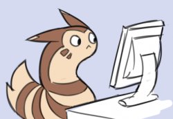 Furret has seen everything Meme Template