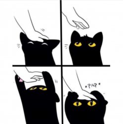 Black cat Meme Template