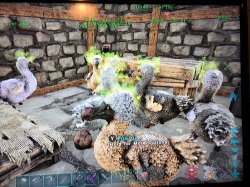 Dodos self-quarantined Meme Template