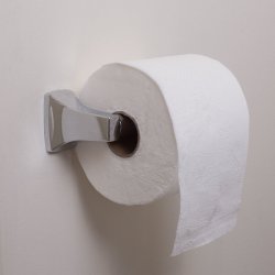 Toilet Paper - Single Roll Meme Template