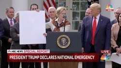 Trump National Emergency Meme Meme Template