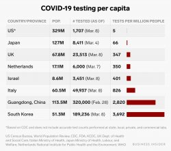 COVID testing per capita Meme Template