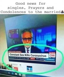 Constant Sex Coronavirus Killer But Not When Married Meme Template