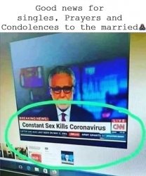Constant Sex Coronavirus Killer But Not When Married Meme Template
